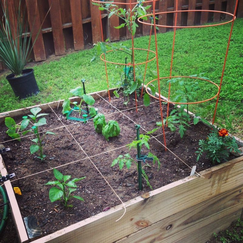 Space plants properly