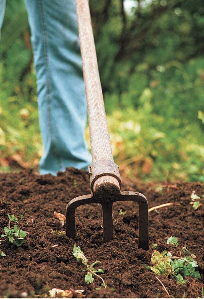 Turn the soil gently