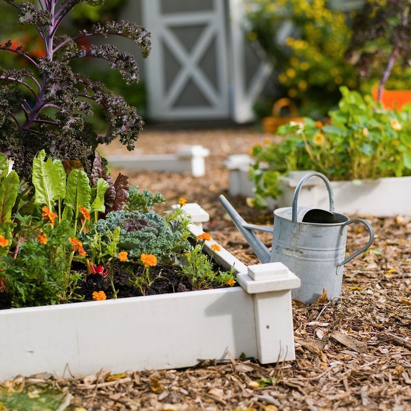 Watering inconsistencies