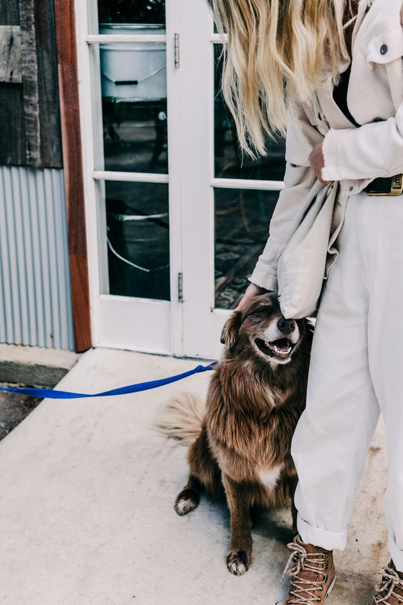 How They Treat Animals and Children