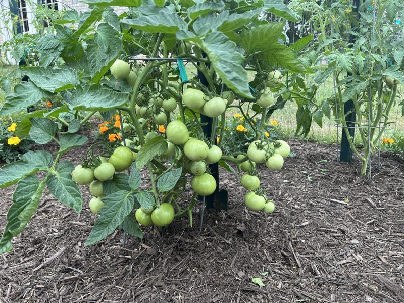 Regional Soil Differences Matter