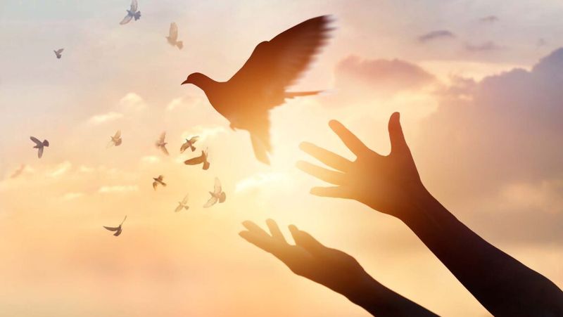 Forgive but never forget valuable lessons