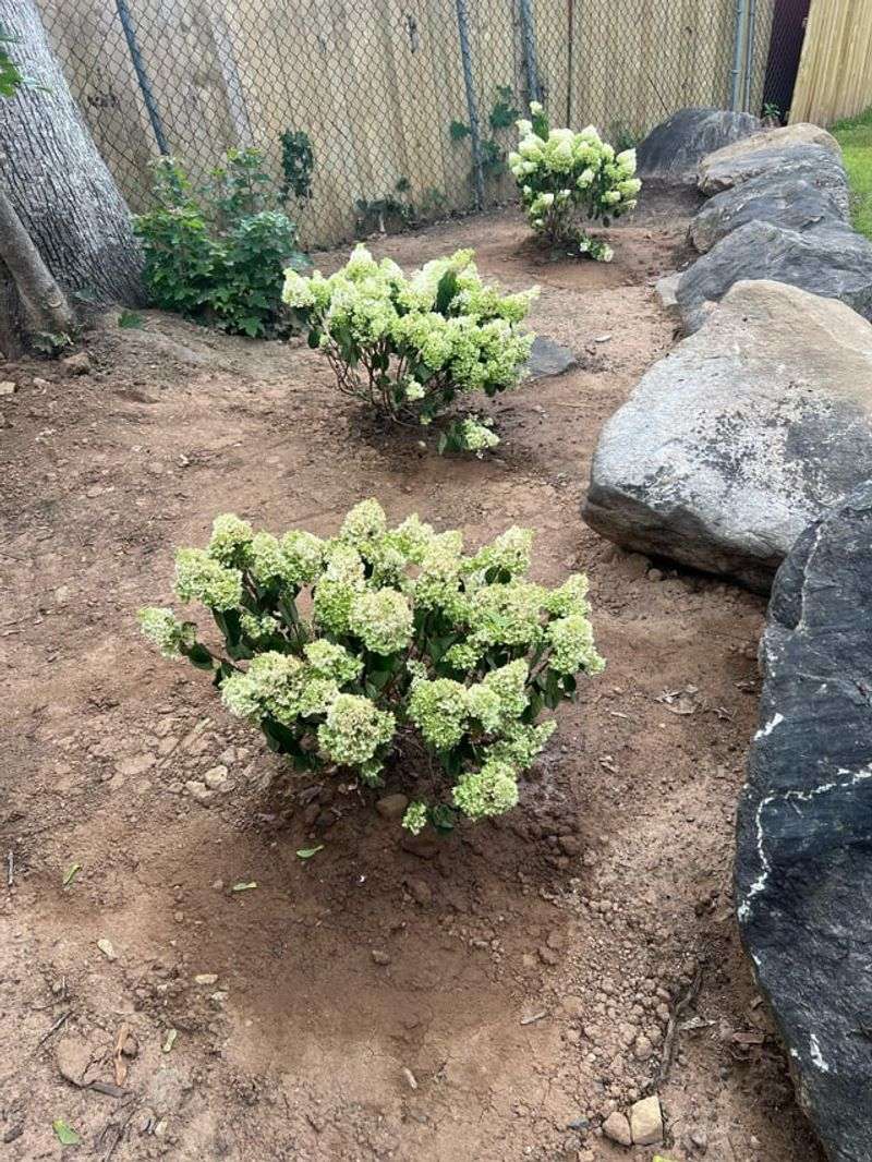 Soil Drying Out Faster Than It Should