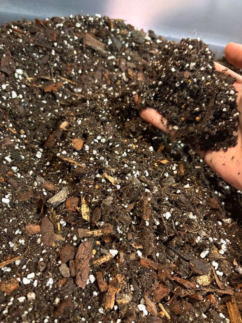 Soil Mixes That Support Continuous Flowering Soil Mixes That Support Continuous Flowering