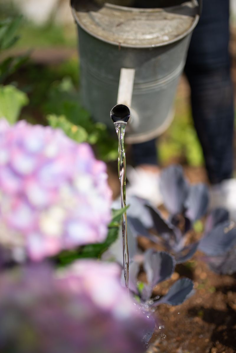 Water Deeply Twice Weekly