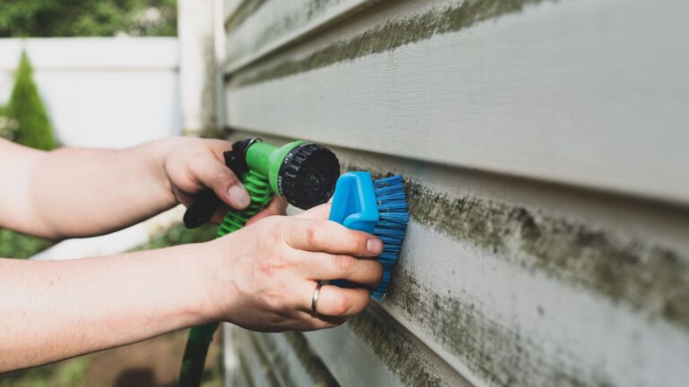 16 eenvoudige manieren om algen te verwijderen en je gevelbekleding er weer als nieuw uit te laten zien