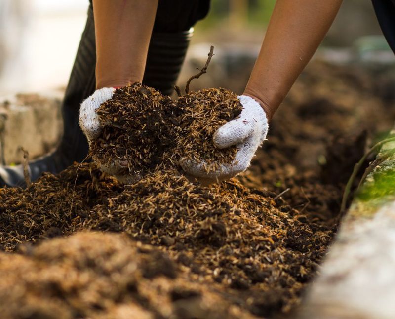 Feed The Soil With A Fall Layer Of Compost