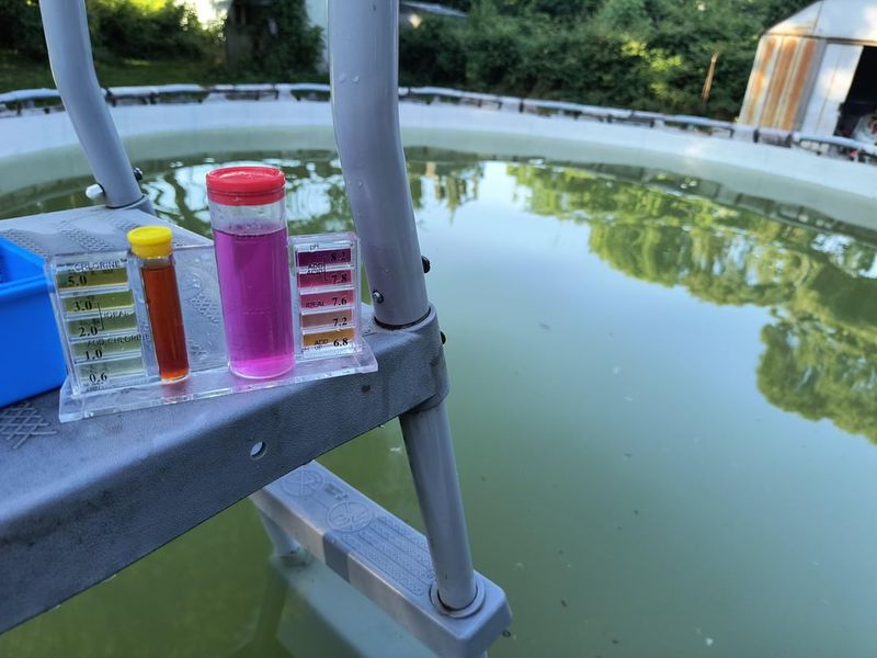 Pool Chlorine Dilution