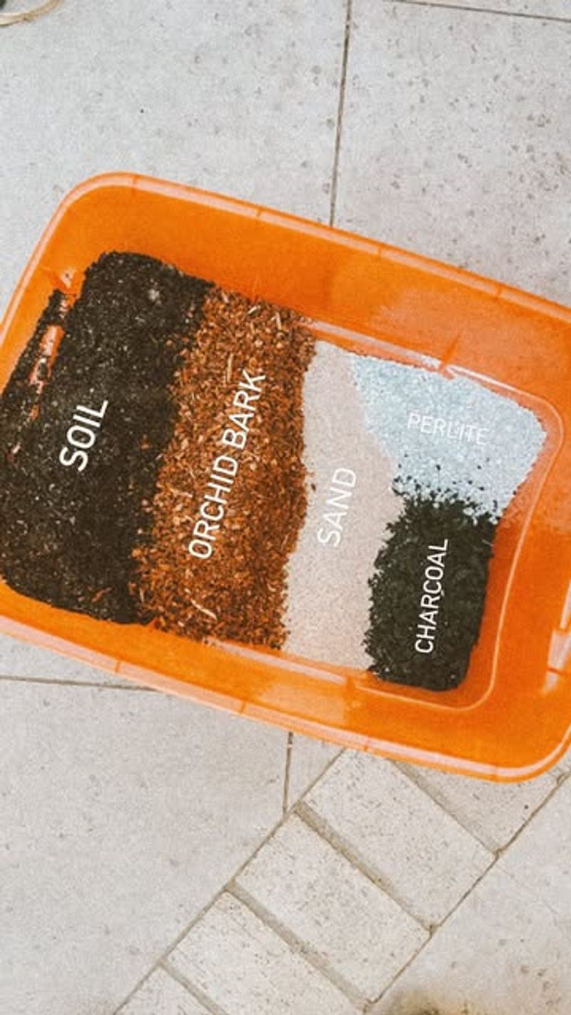 Use Well-Draining Soil