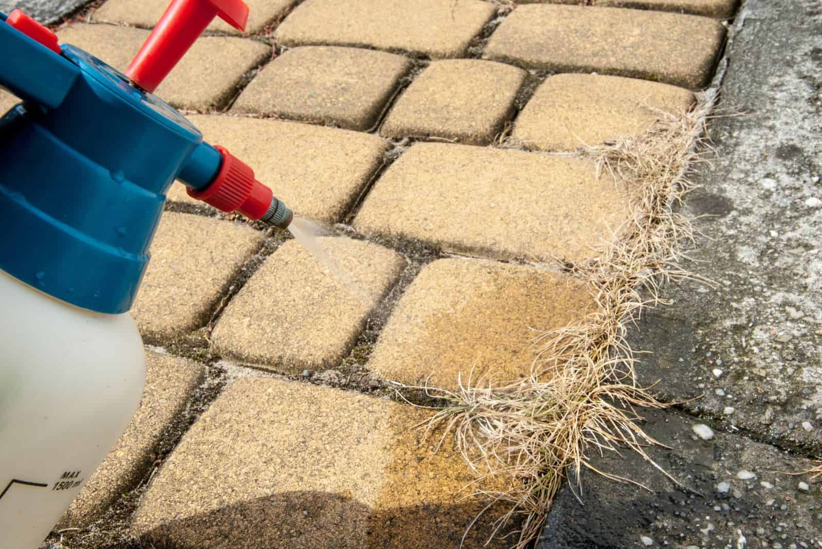 a man destroys weeds from the sidewalk