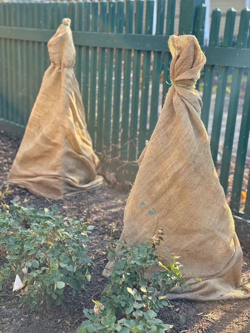 Build A Burlap And Leaf Cage Build A Burlap And Leaf Cage