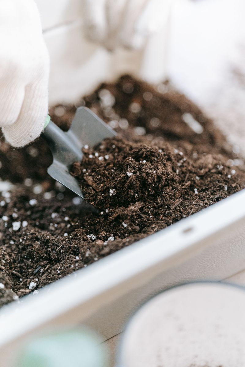 Check The Soil For Uninvited Guests