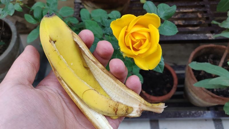 Composted Peels Balance Soil pH