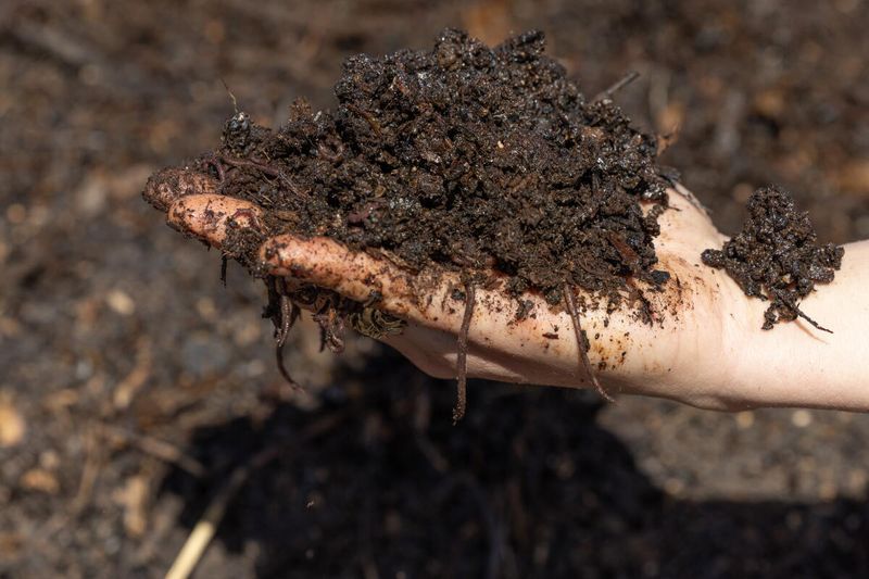 Fewer Garden Pests Come Calling