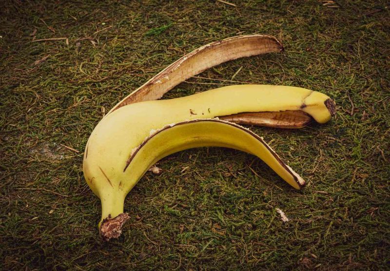 Food Reaches The Whole Root Zone