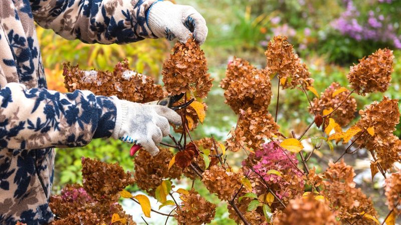 Gentle Habits For Every Future Fall Gentle Habits For Every Future Fall