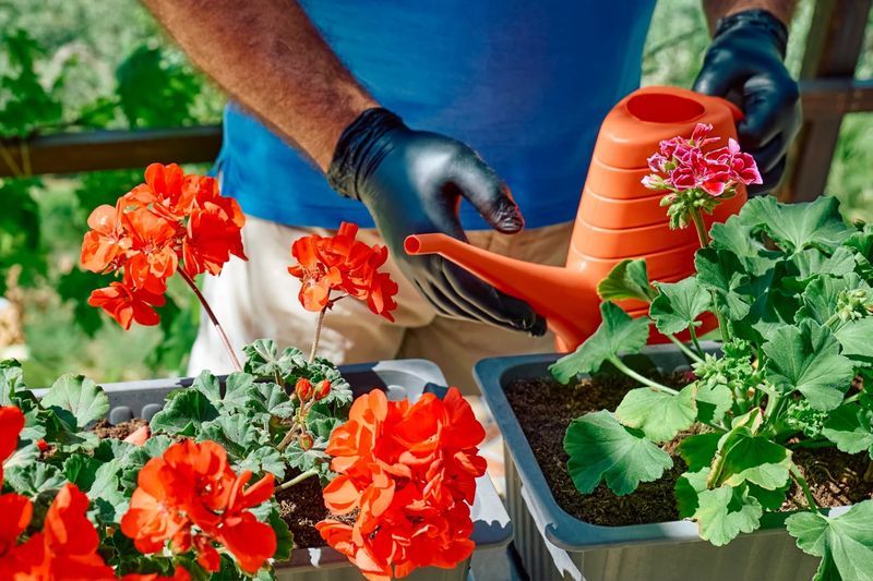 Liquid Fertilizer For Fast Results