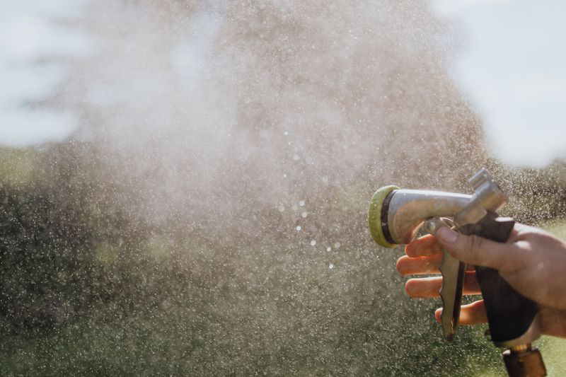 Rinse Off Dust And Stowaway Bugs