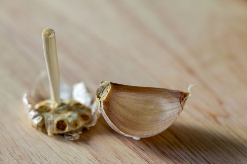 Setting Cloves Too Shallow Or Upside Down
