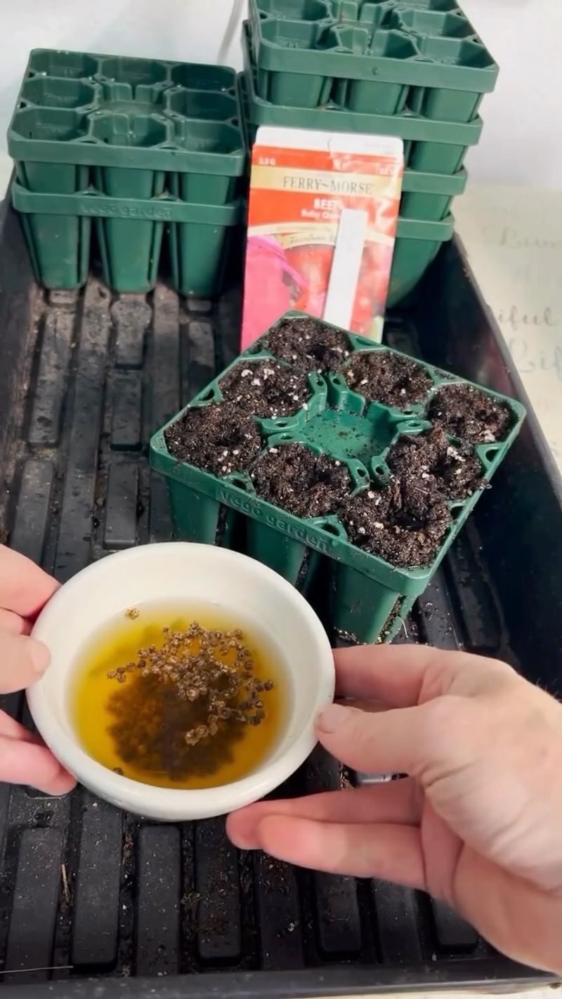 Soak Seeds Before Planting