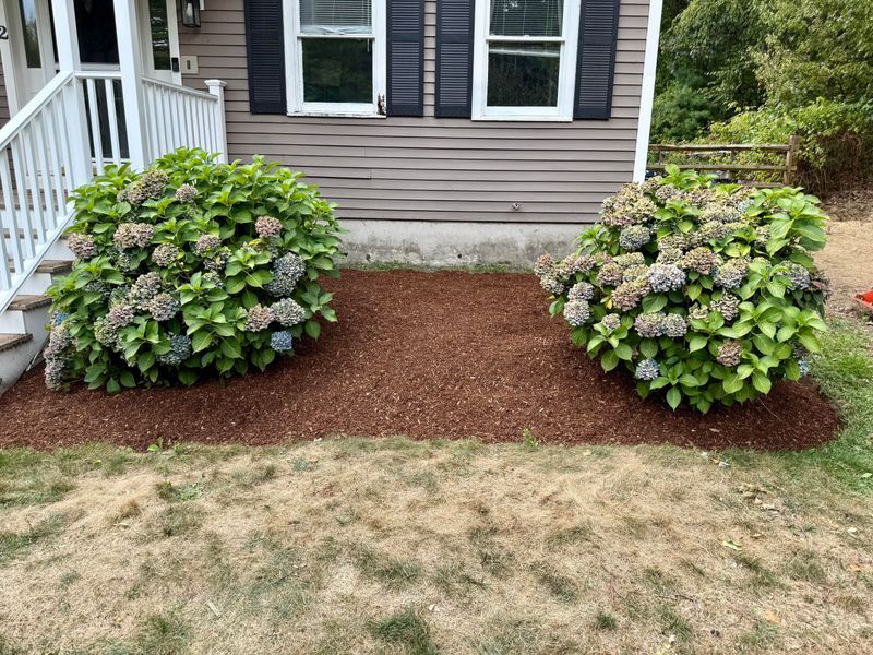 Spread A Thick Layer Of Mulch Spread A Thick Layer Of Mulch