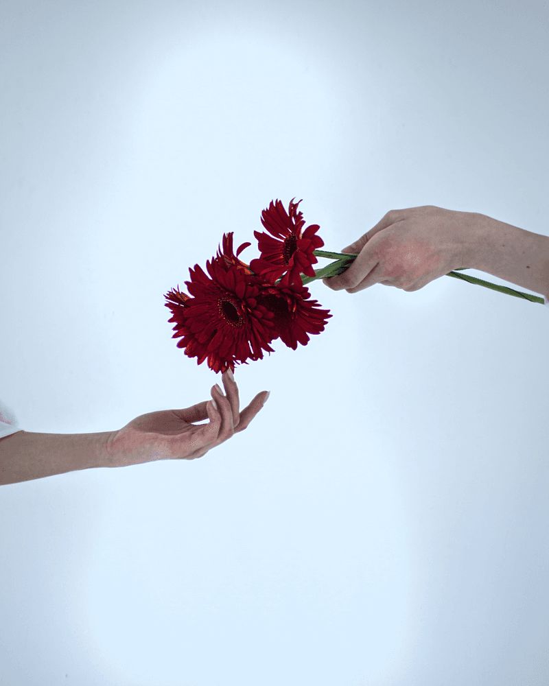 Taking Without Giving